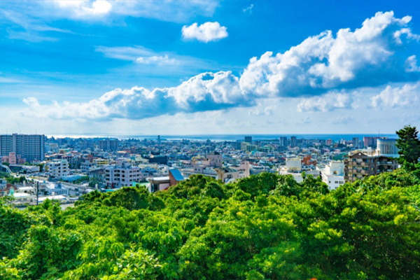 園の紹介の画像