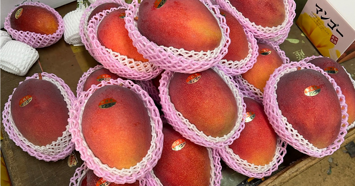 有限会社西銘青果店イメージ画像