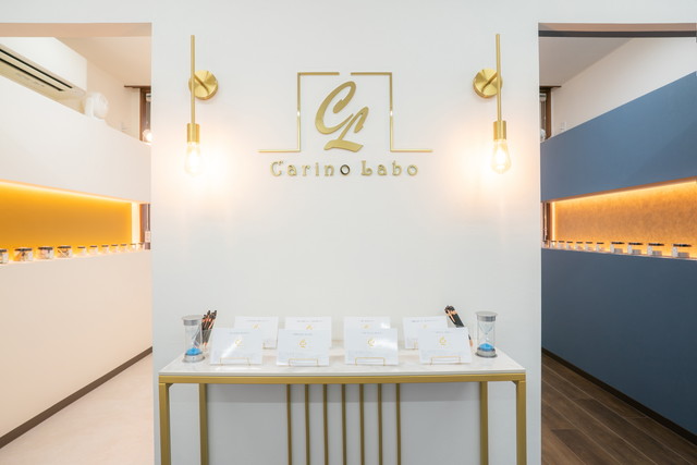 観葉植物の画像