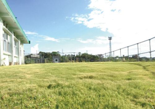 イメージ画像