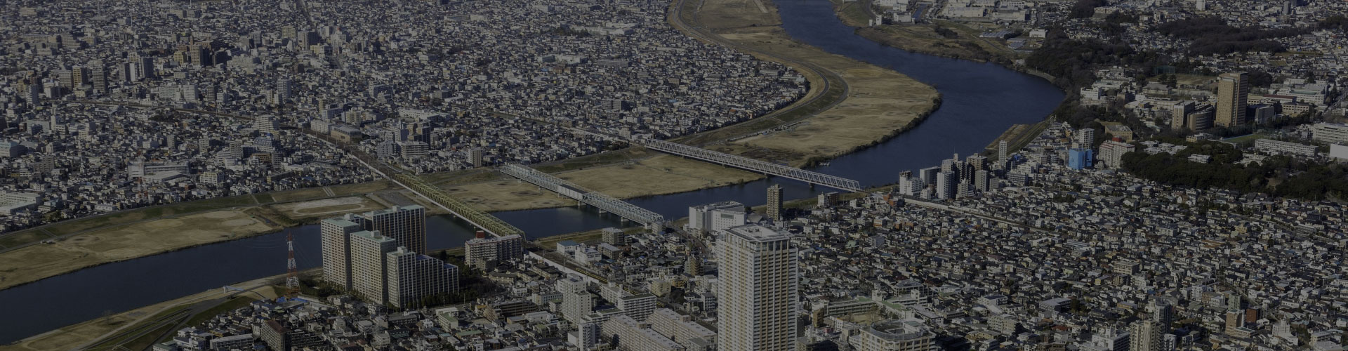 ファストレイズの特徴