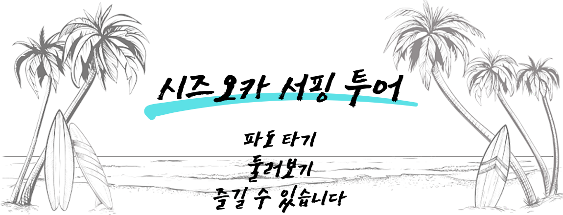 시즈오카 서핑 투어｜파도 타기 둘러보기 즐길 수 있습니다