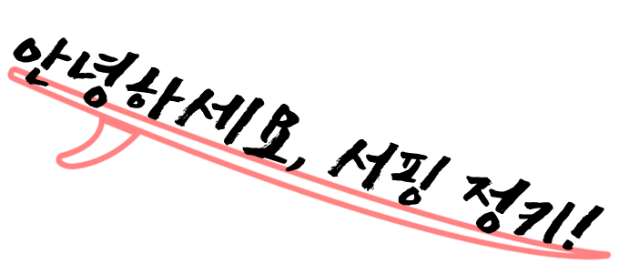 안녕하세요, 서핑 정키!