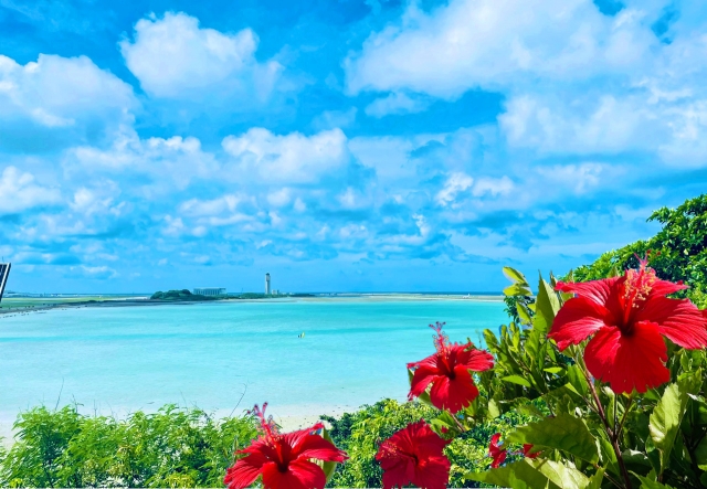 信頼と地域密着の飲食企業