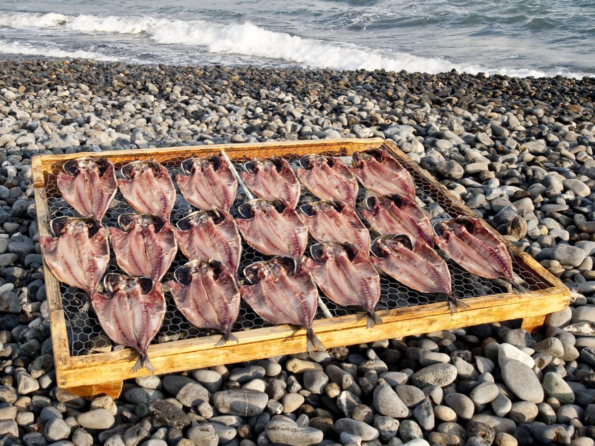 新商品の開発、そして海外進出の夢