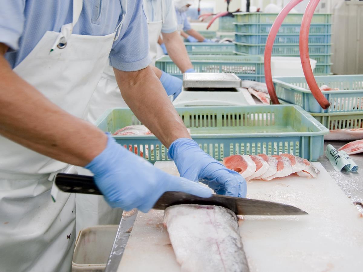 おしみない手作業