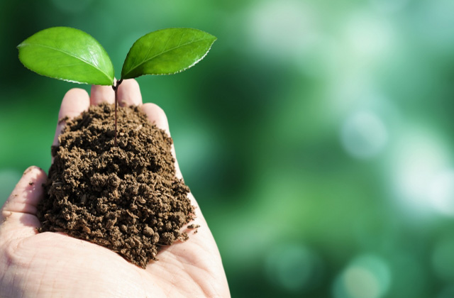 環境に配慮している