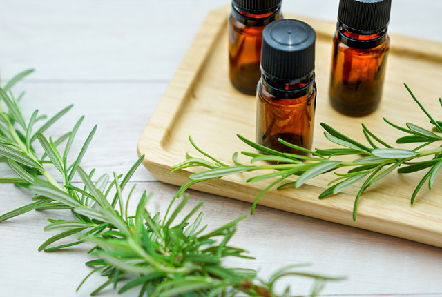 癒しだけでなく、自己表現の手段に