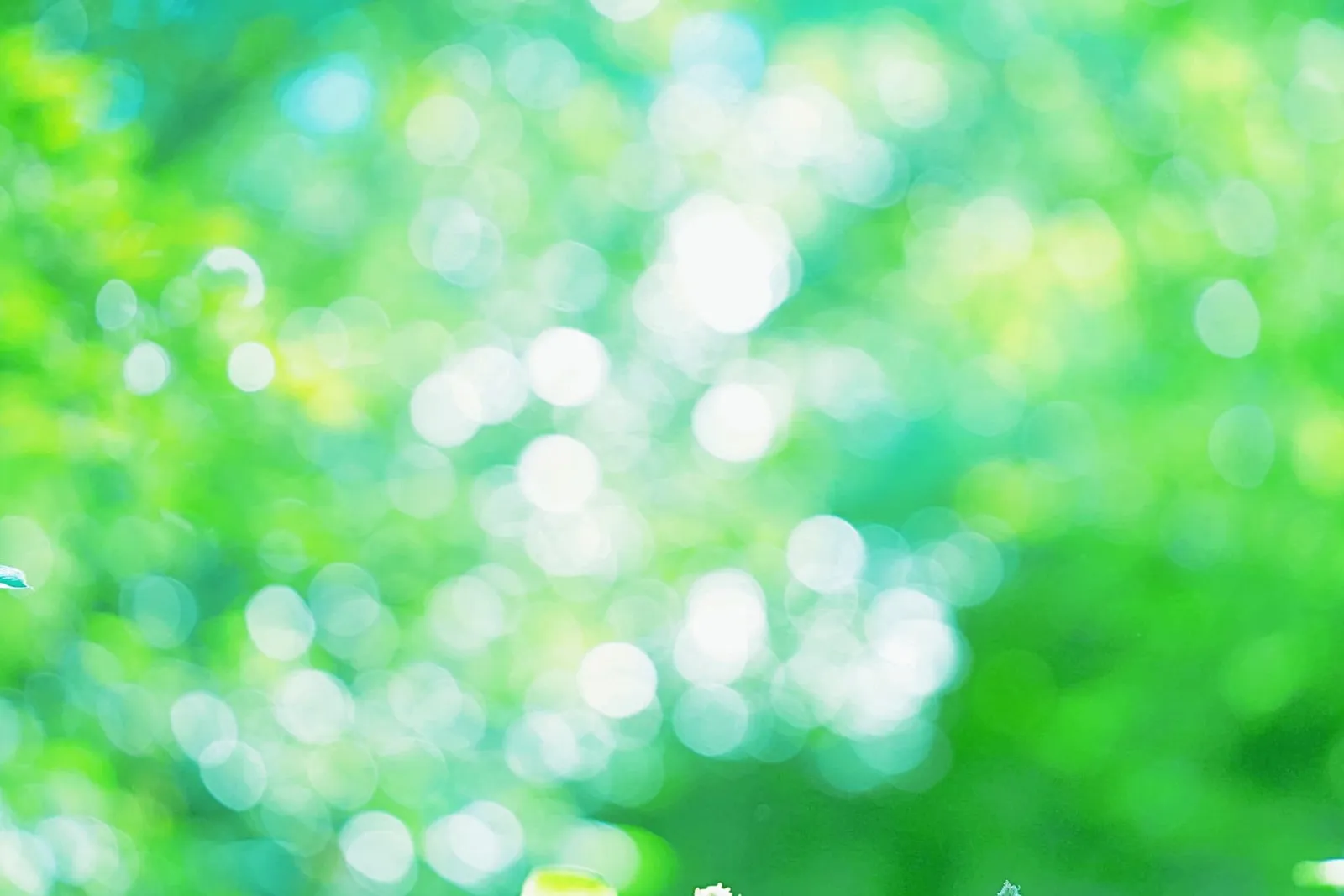 いやしの時間カイロプラクティックイメージ画像