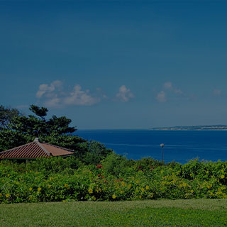 今年度の予算書