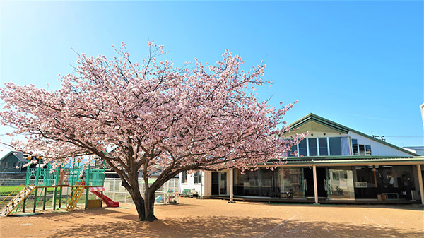長尾聖母幼稚園