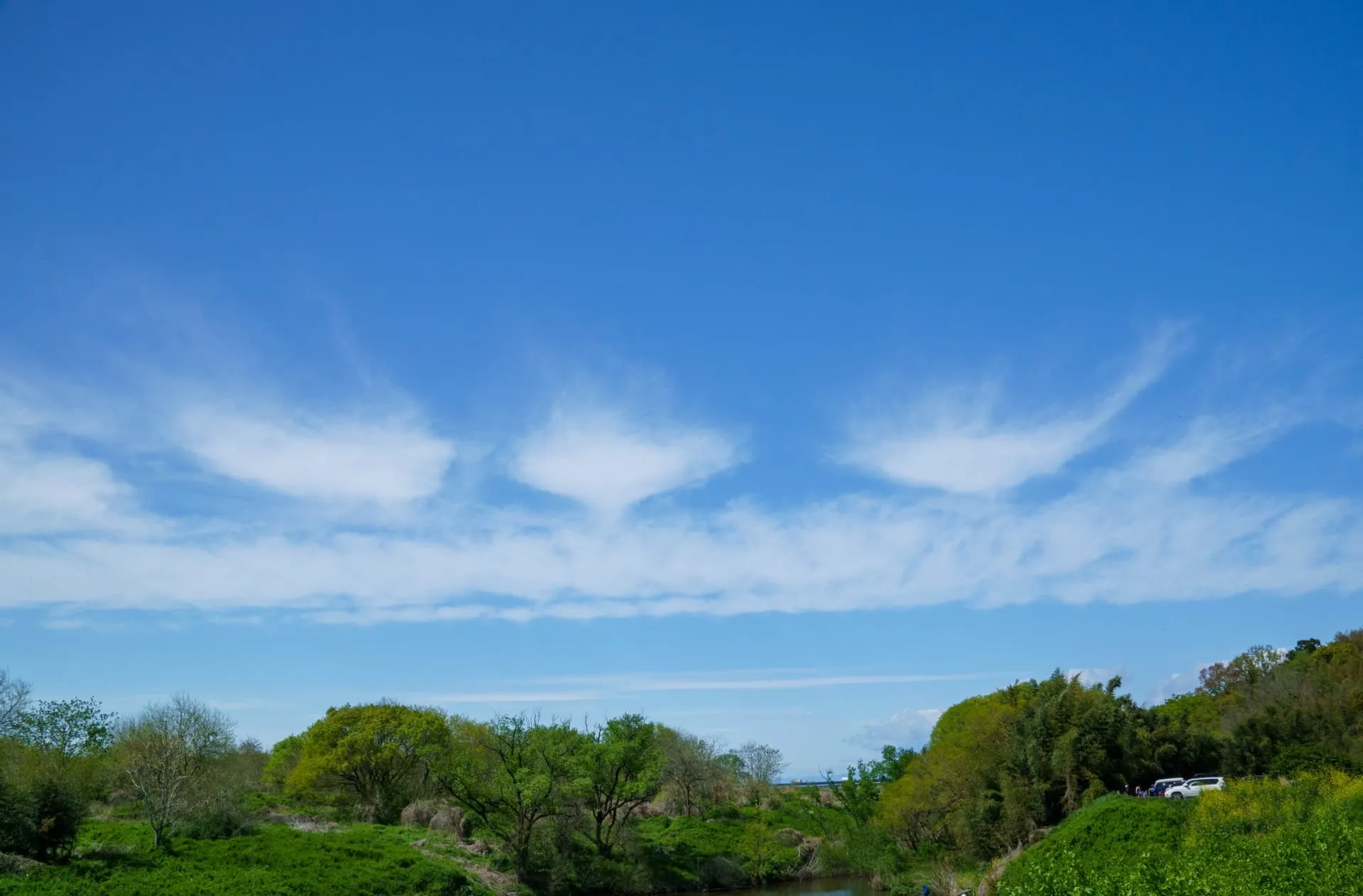 公益社団法人 沖縄県シルバー人材センター連合イメージ画像