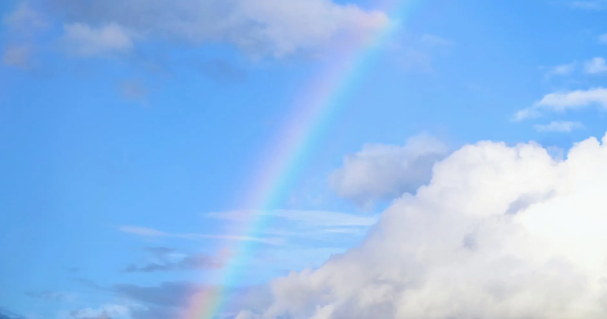 公益社団法人 沖縄県シルバー人材センター連合イメージ画像