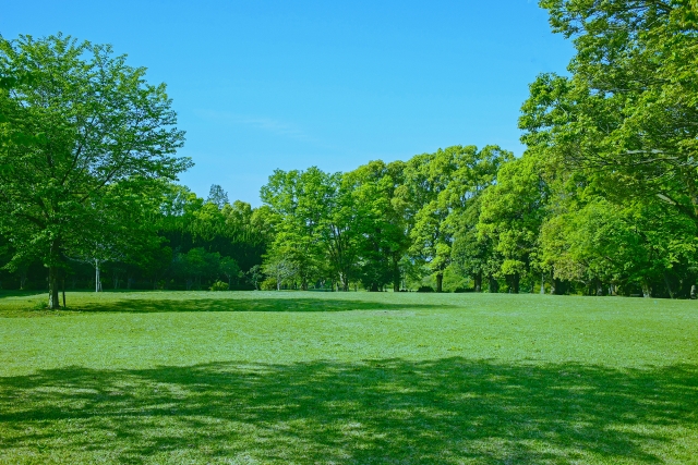 環境への取り組み