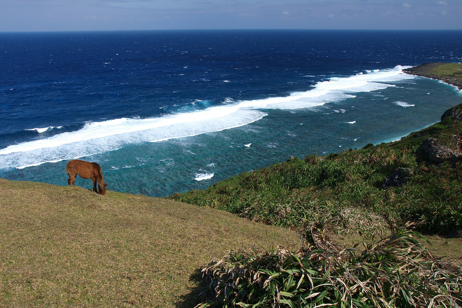 与那国島の風景と与那国馬