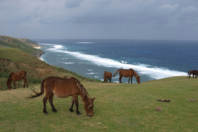 与那国町保育サポートセンター事業