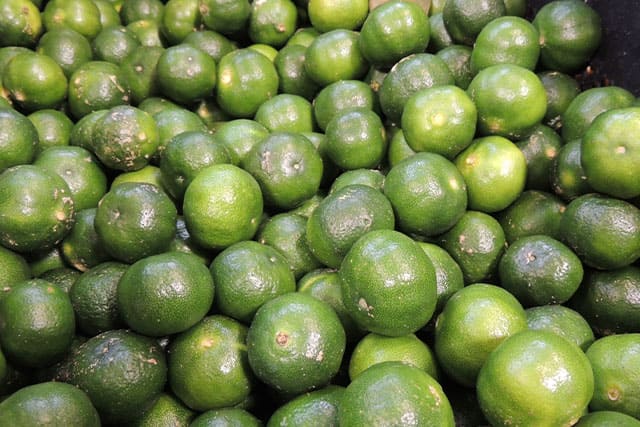 殺菌処理（低温殺菌）