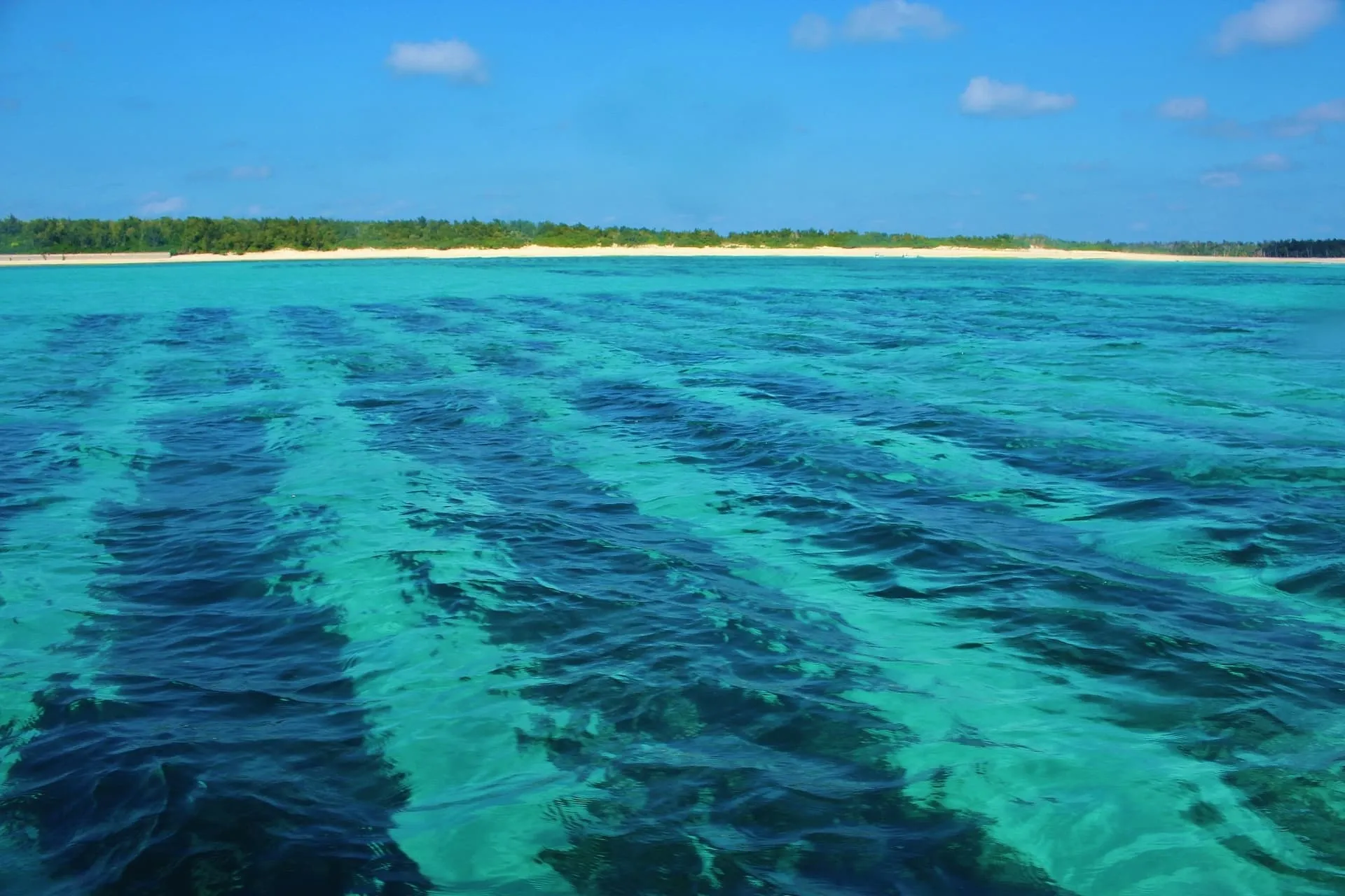 那覇ロータリークラブイメージ画像