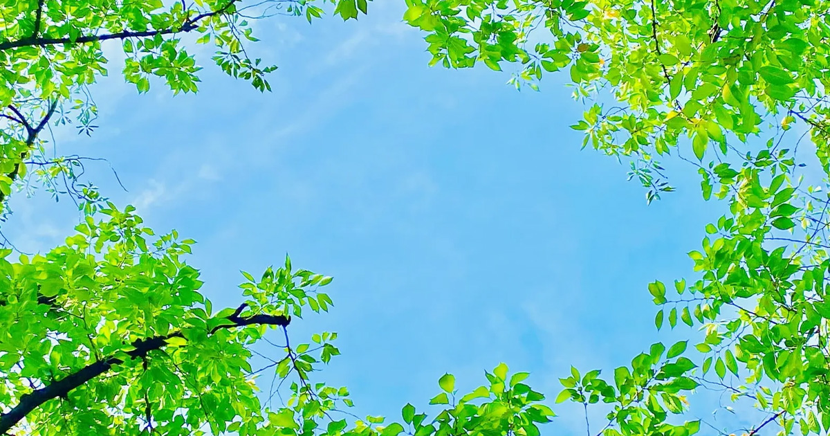 合同会社 BBトレ 生活介護イメージ画像