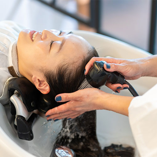 ベルジュバンス紹介