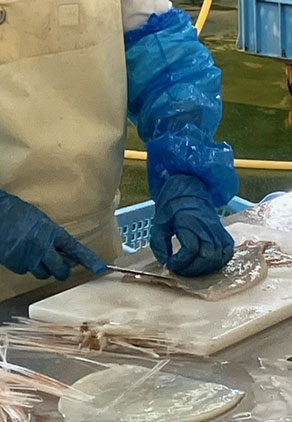 厳選された素材を、安全・安心とともに