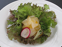 いかのガーリックオイル漬け