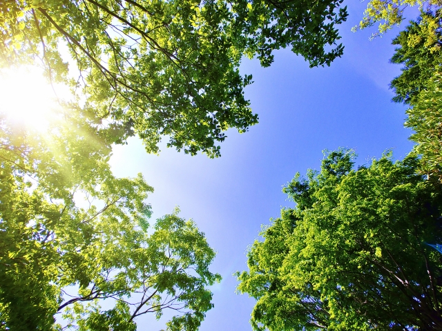 周波数セラピー