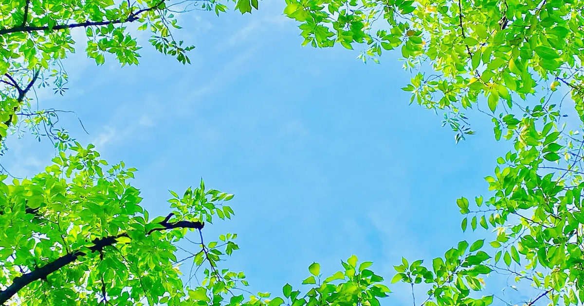 公益社団法人糸満市シルバー人材センターイメージ画像