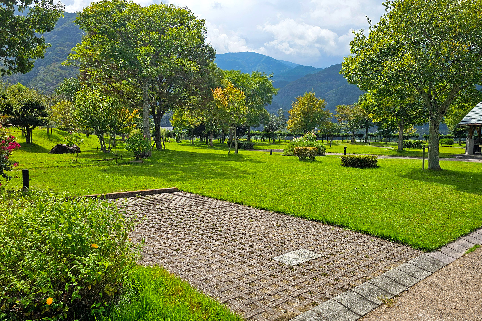 電源付きオートサイト