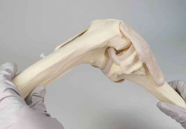 外来での患者説明