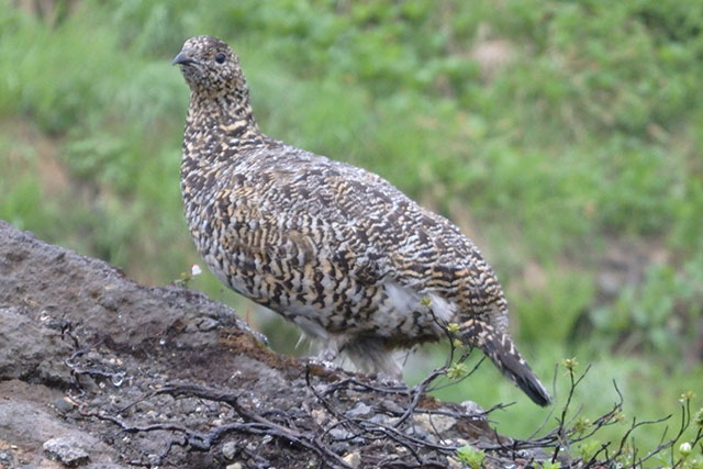 医院のこだわり