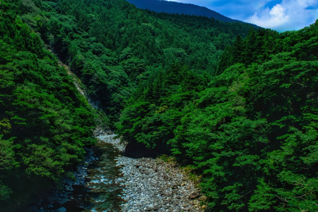 移住支援と連携