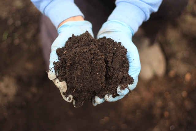 現地訪問・土の確認