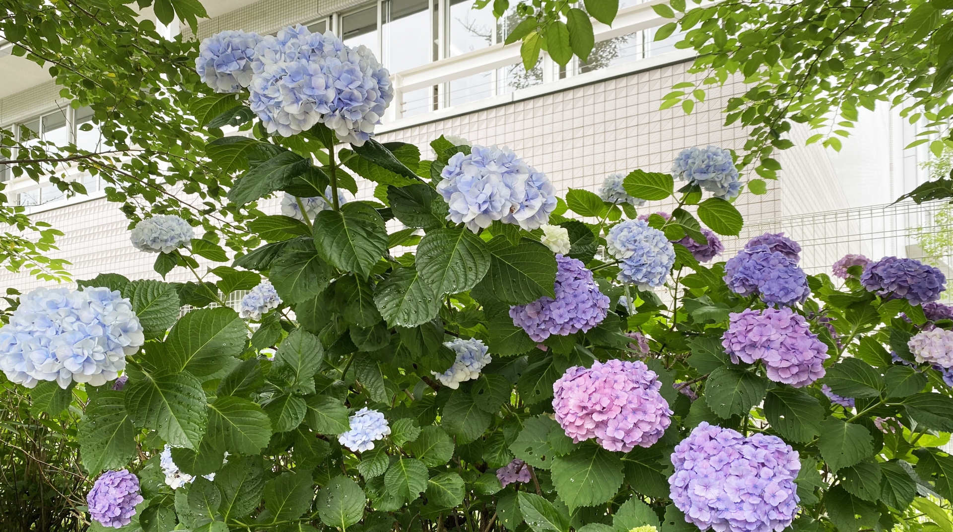 とび・土工・コンクリート工事