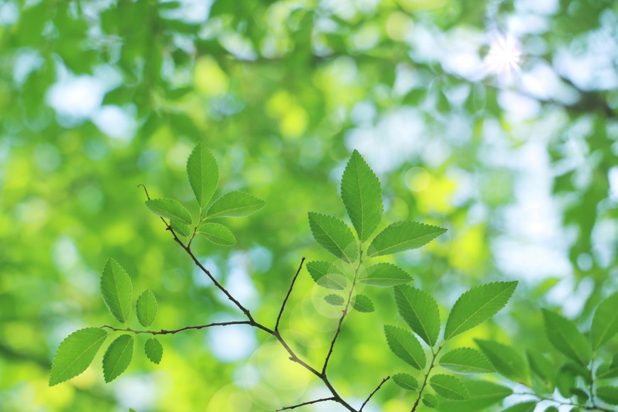 介護相談について