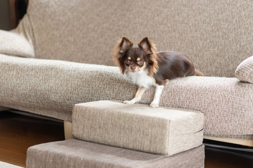 ペットの動きを考えたやさしい設計