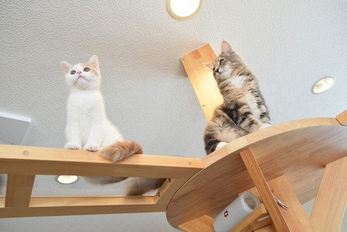 インテリアになじむデザイン