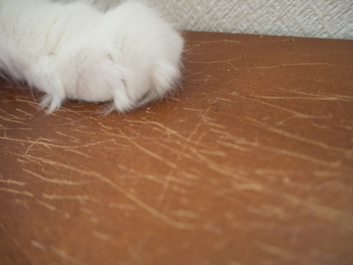 修理・リメイクにも対応