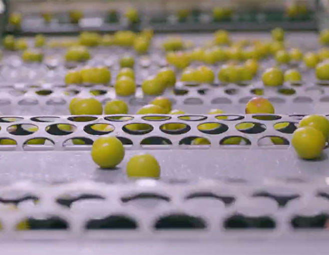 特徴・こだわり