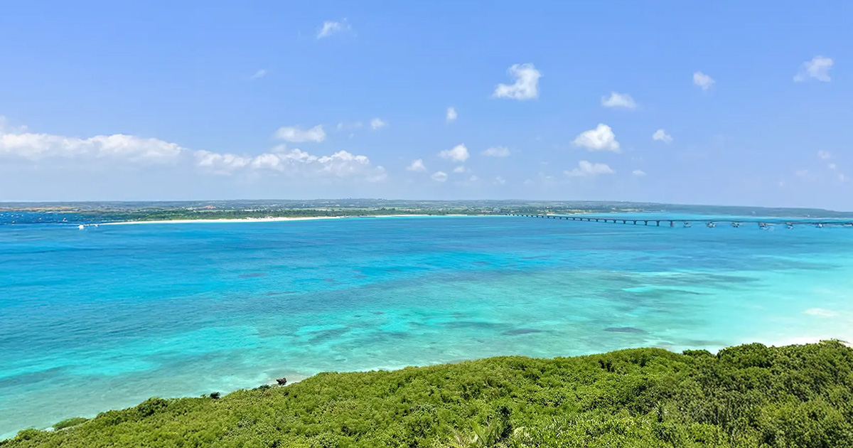 株式会社 琉球ヘルシーフーズイメージ画像