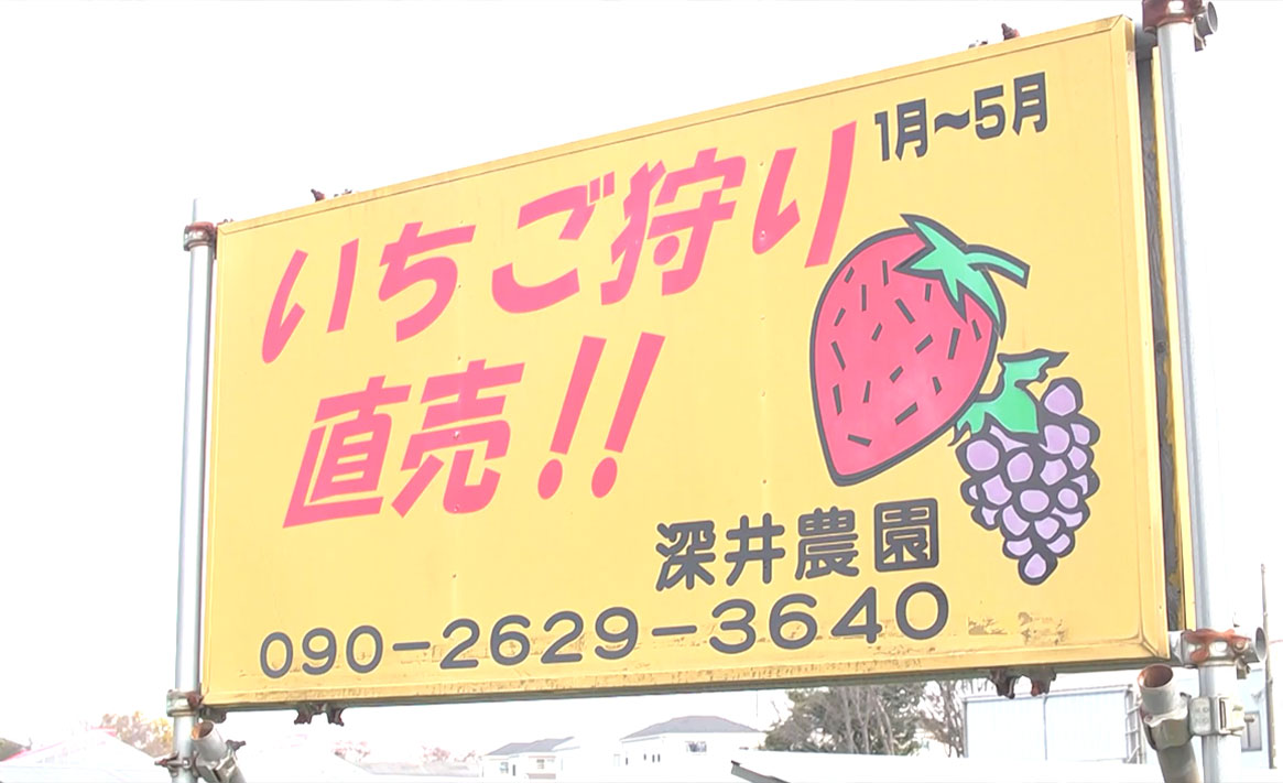 直売のご案内について