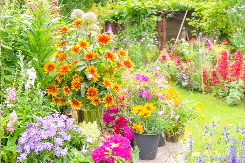 庭のリフォーム