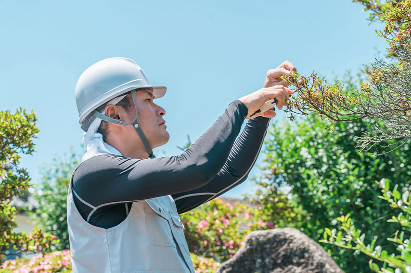 定期管理・年間契約