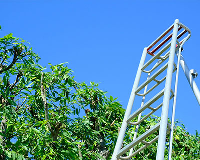 アフターフォローも万全