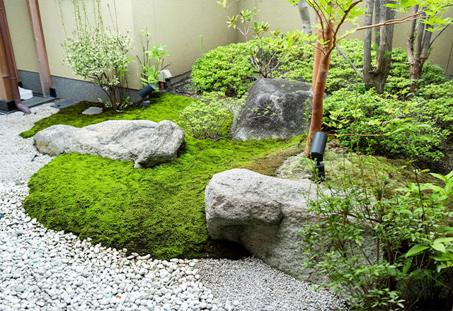 徳島の気候に合わせた植栽提案