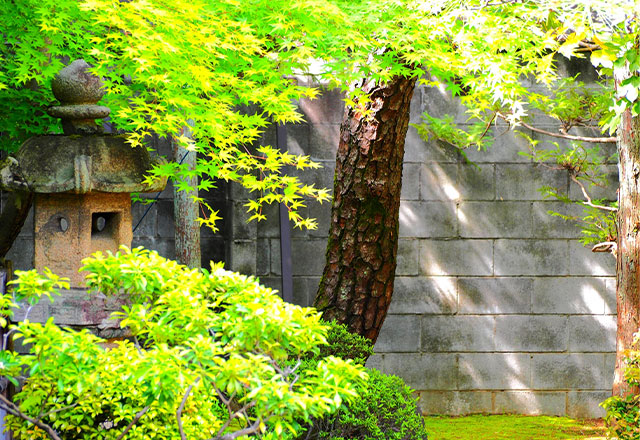 幅広い施工実績