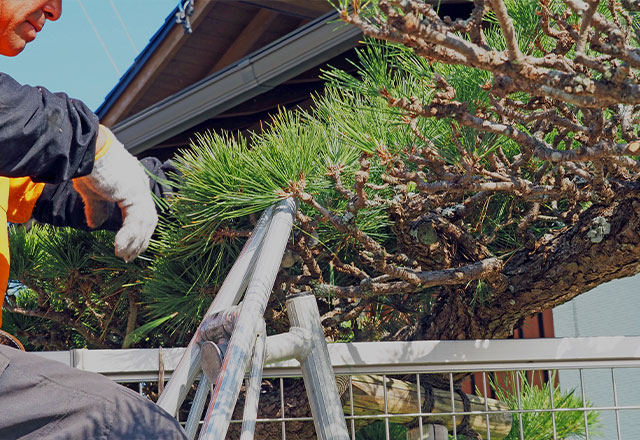 アフターフォローも万全