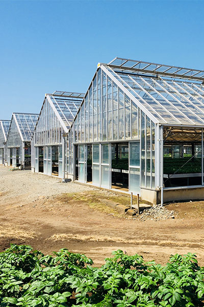 ビニールハウス・温室ハウス