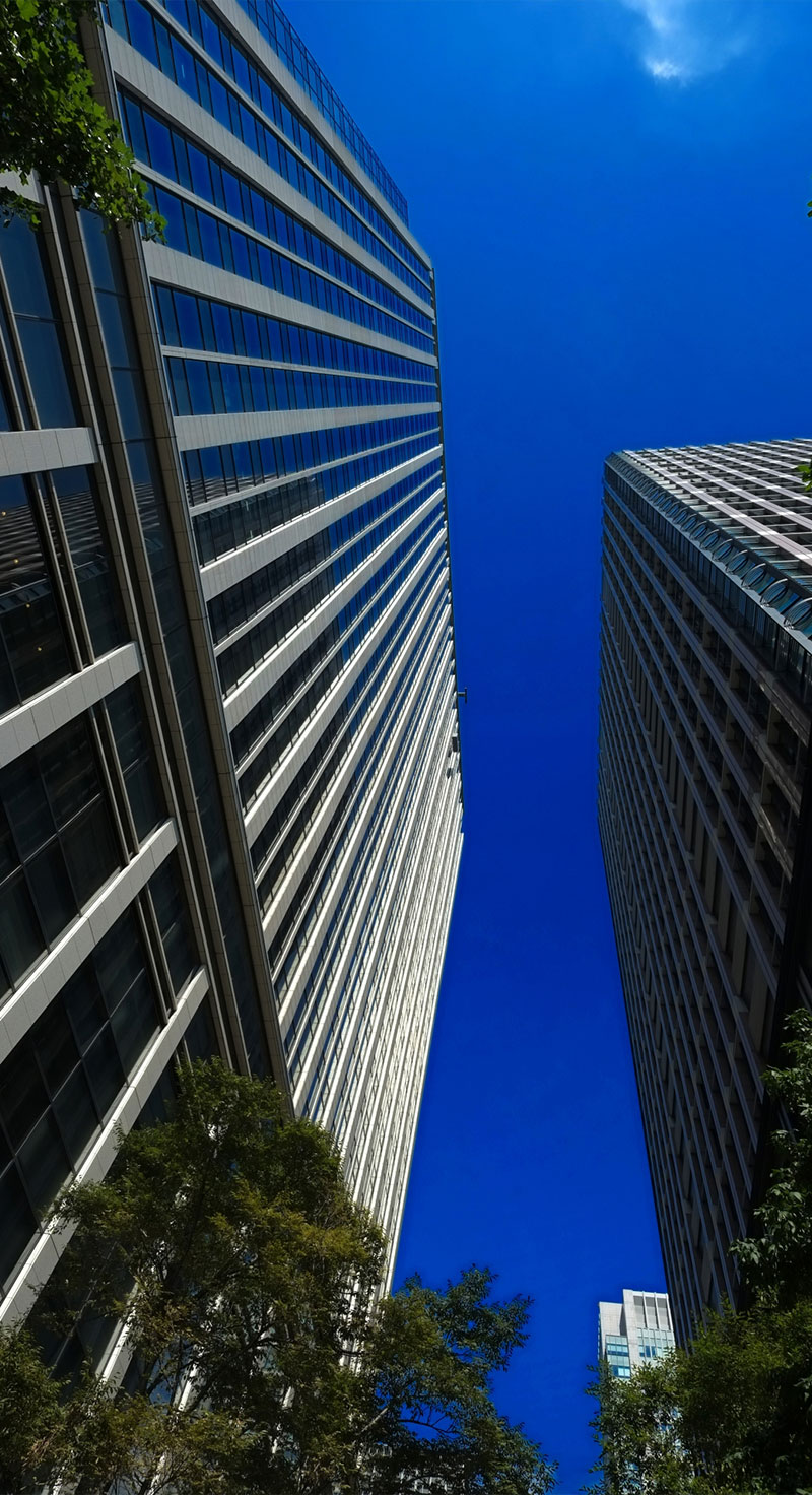 企業経営・従業員の国際化