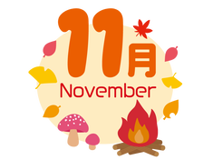 11月